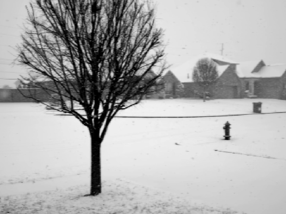 Frame from Blizzard of 1965